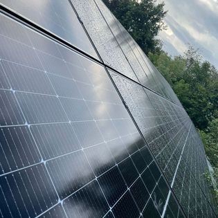 Photovoltaikanlage, umgeben von Bäumen im Hintergrund